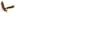 friulano.gif (2616 byte)
